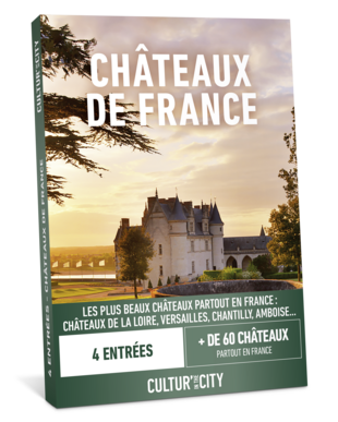 4 entrées Châteaux de France (Cultur'in The City)