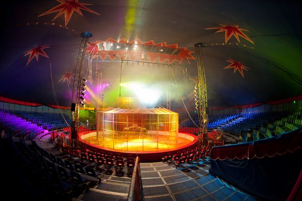 Cirque De St Petersbourg