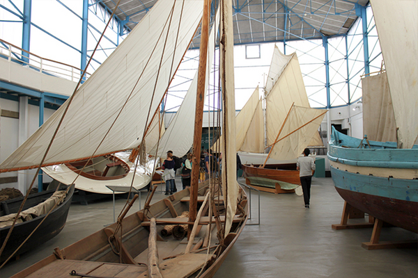 Port-Musée de Douarnenez (Douarnenez)
